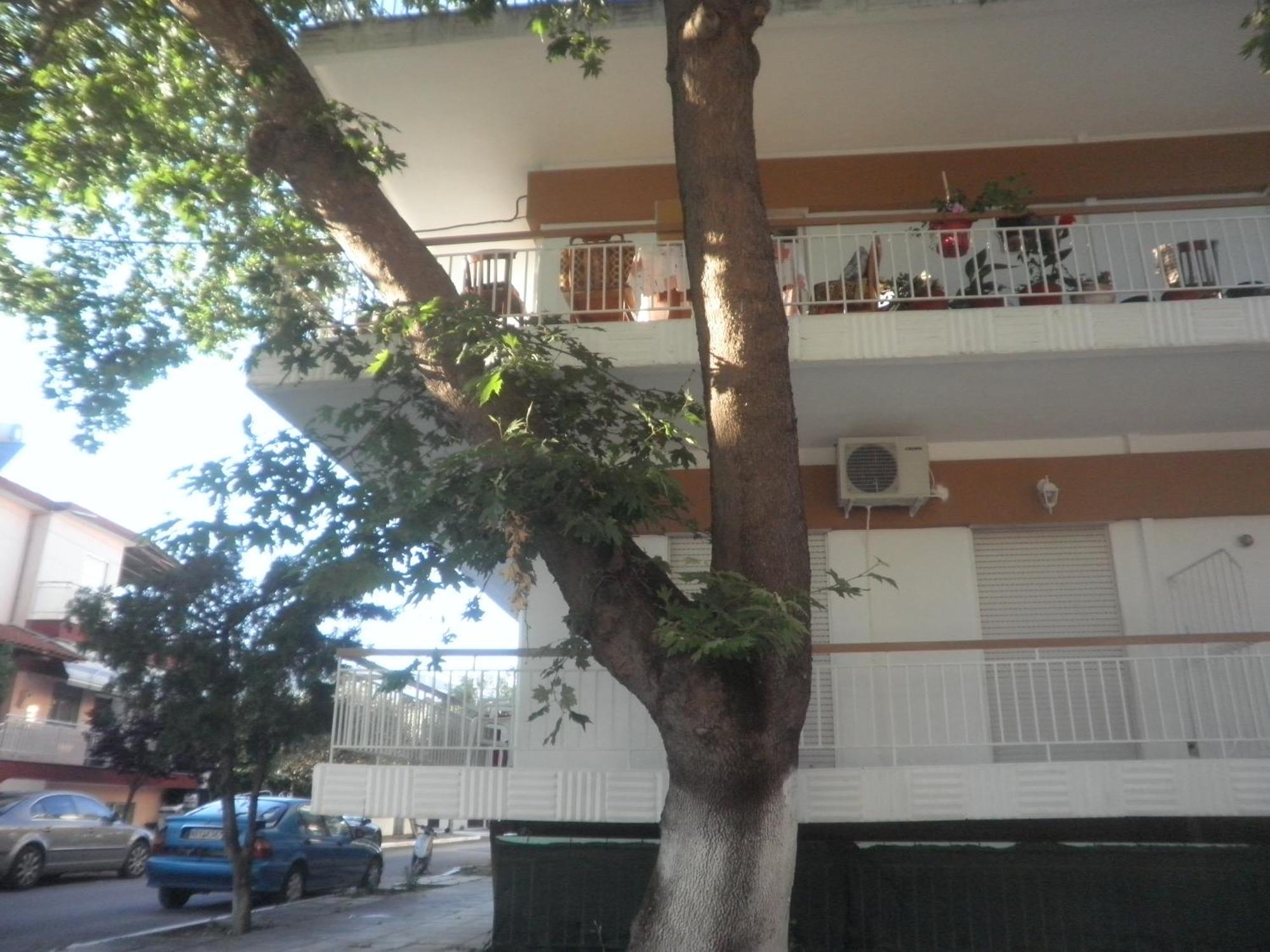 Apartments Anesis Pantazis Asprovalta Exterior foto